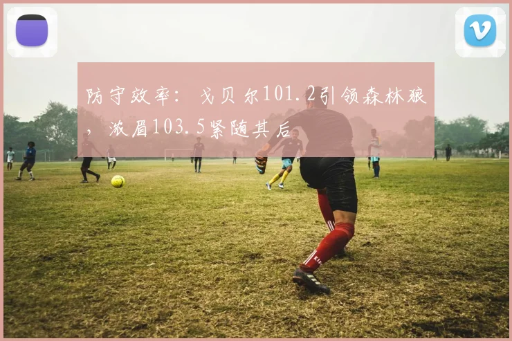 防守效率：戈贝尔101.2引领森林狼，浓眉103.5紧随其后